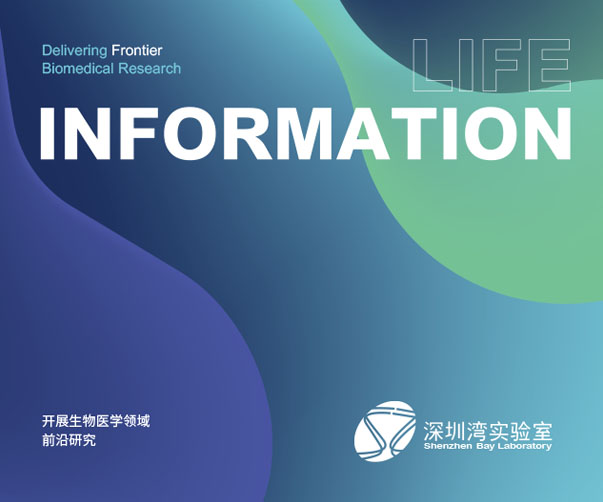 品牌與視覺識別：UCI咨詢公司logo設(shè)計項目