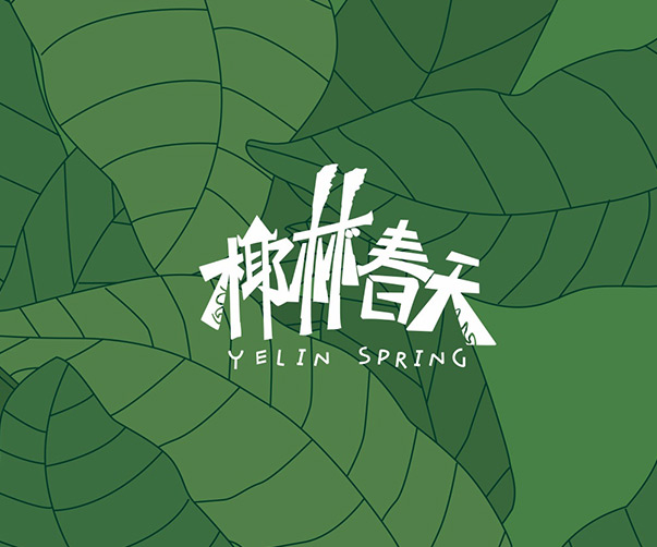 非遺VI設計_傳統文化與現代藝術的完美結合