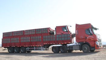 緊抓市場(chǎng)，協(xié)同共促 玉柴物流集團(tuán)助力客戶(hù)物流運(yùn)力再升級(jí)